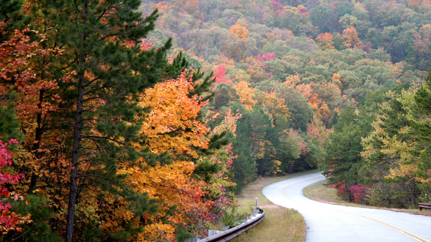 Arkansas land guide about Arkansas Land Title Company Closing Steps
