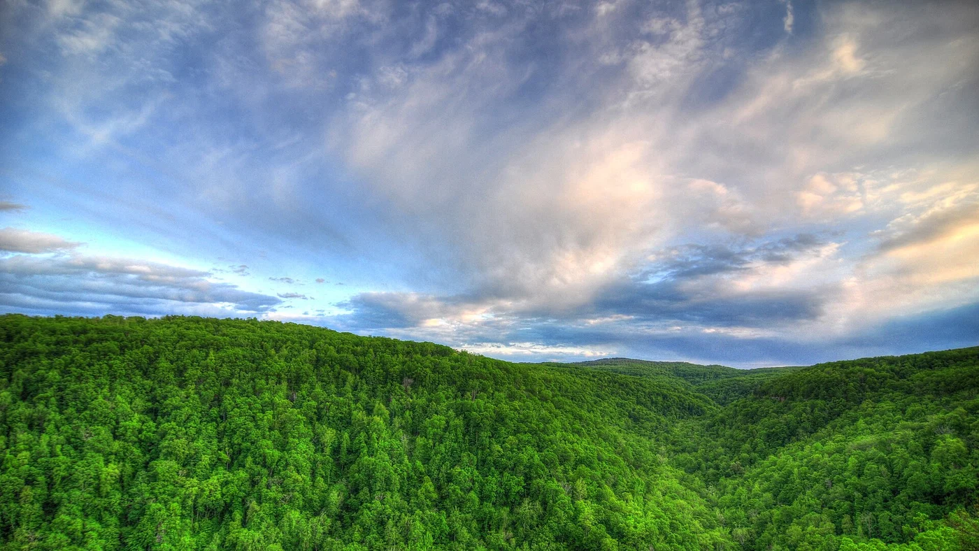 Rural land and property context for this Arkansas seller guide