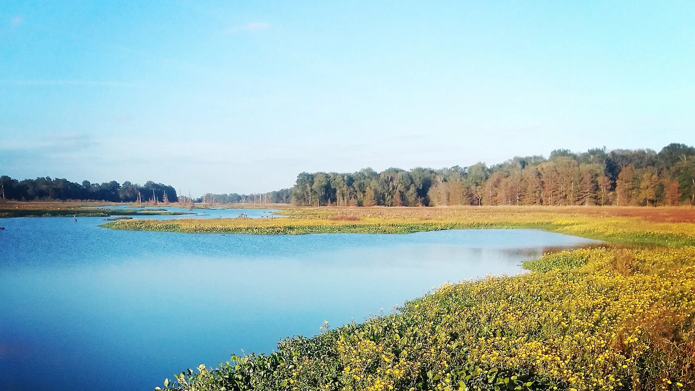 Rural land and property context for this Arkansas seller guide