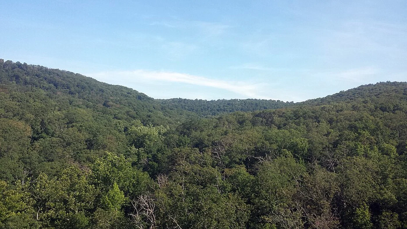 Rural land and property context for this Arkansas seller guide