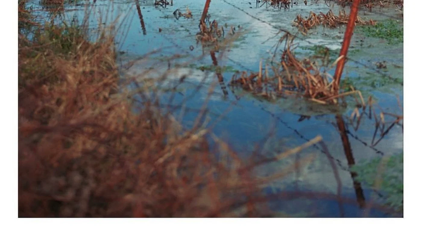 Rural land and property context for this Arkansas seller guide