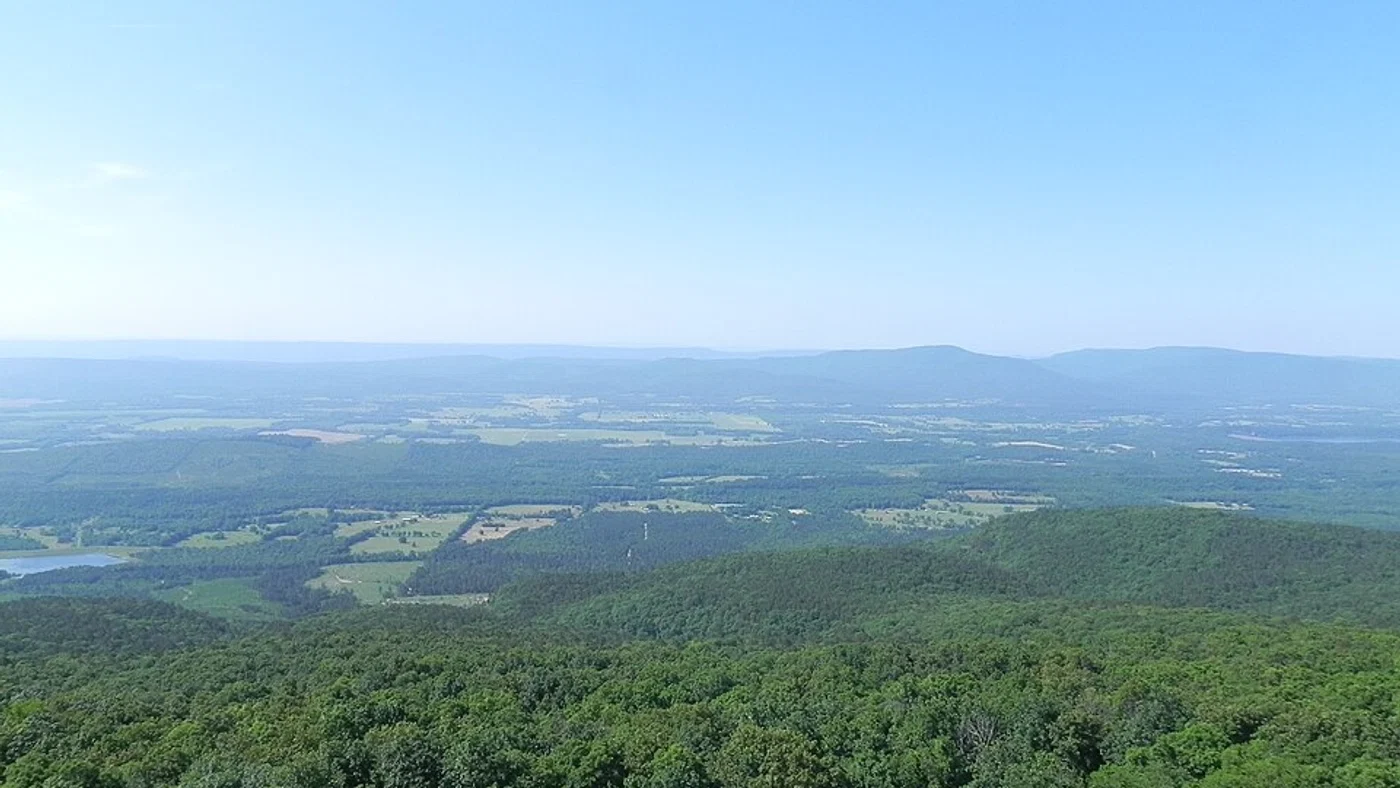 Illustrative Arkansas rural landscape, not a pictured sale parcel