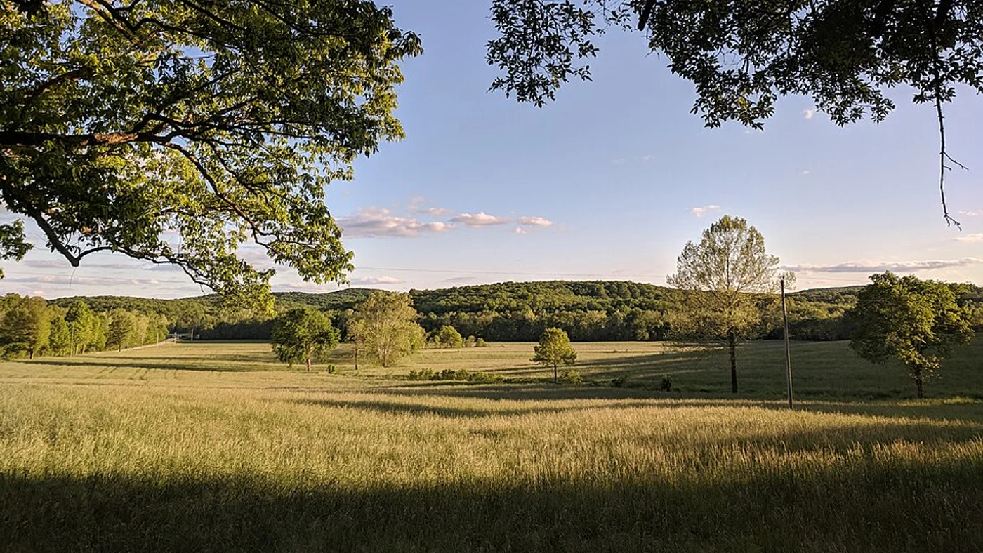 Illustrative Arkansas rural landscape, not a pictured sale parcel