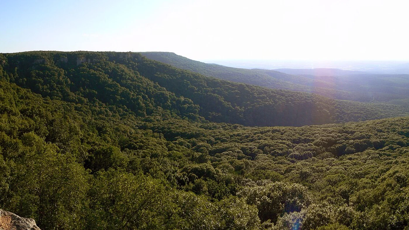 Illustrative Arkansas rural landscape, not a pictured sale parcel
