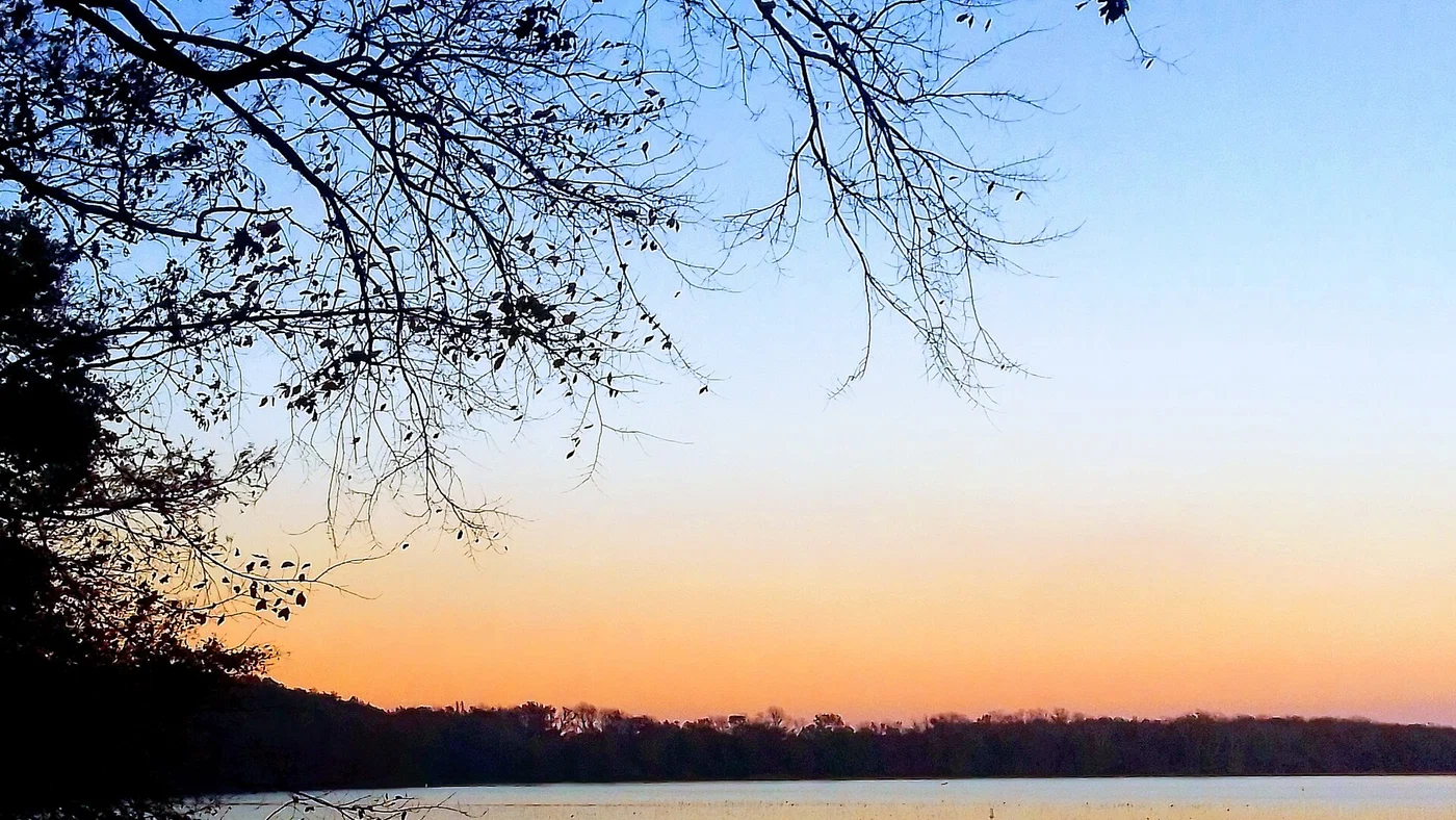Illustrative Arkansas rural landscape, not a pictured sale parcel