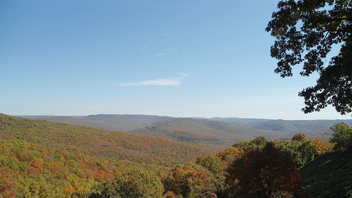 Illustrative Arkansas rural landscape, not a pictured sale parcel