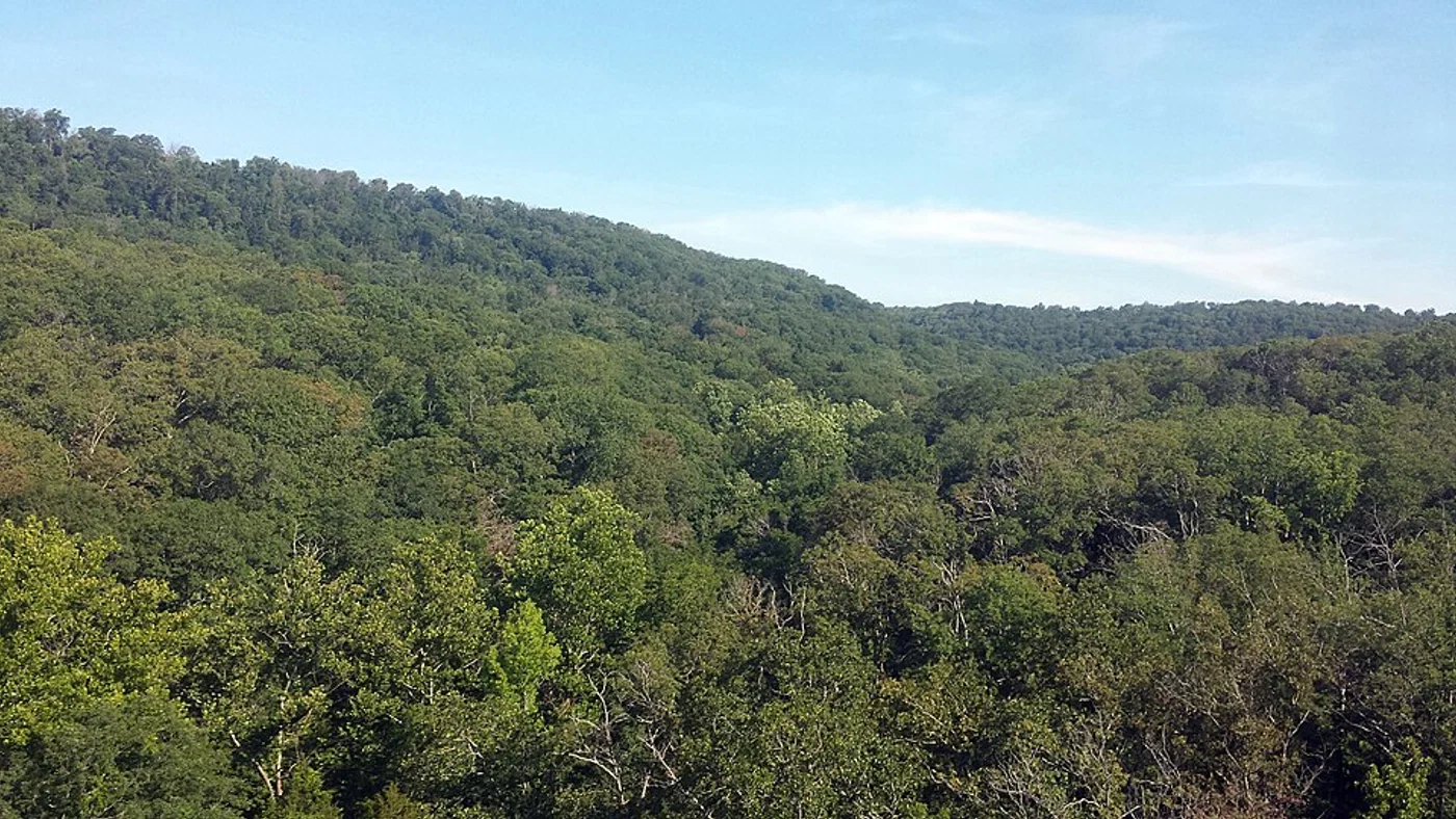 Illustrative Arkansas rural landscape, not a pictured sale parcel