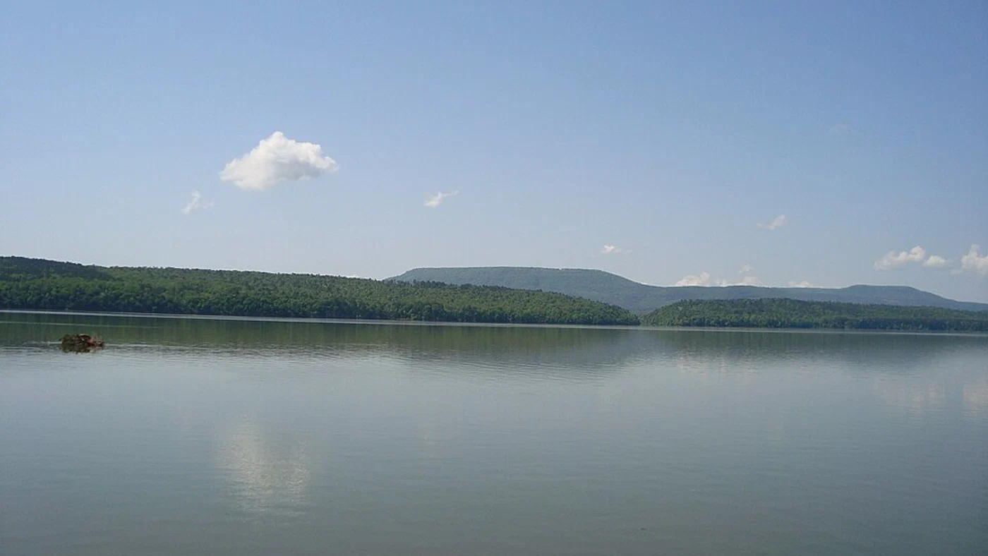 Illustrative Arkansas rural landscape, not a pictured sale parcel